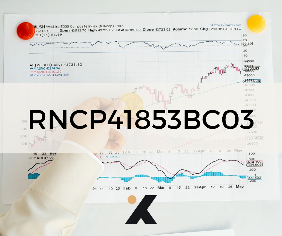RNCP41853BC03 - Contribuer à la performance commerciale et à la rentabilité de son périmètre au sein de l’établissement marchand