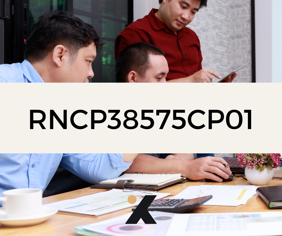 Support de Formation RNCP38575CP01 - Responsable de Petite ou Moyenne Structure: Développer une vision systémique de la structure dans son environnement