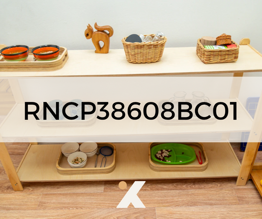 RNCP38608BC01 - Préparer, présenter et utiliser le matériel Montessori