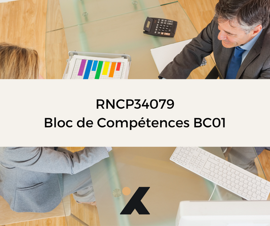 Support de Formation - RNCP34079_BC01 - Négociateur Technico Commercial: Élaborer une Stratégie Commerciale Omnicanale pour un Secteur Géographique Défini