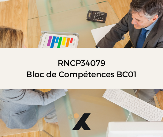 Support de Formation RNCP34079BC01 - Négociateur Technico Commercial: Élaborer une Stratégie Commerciale Omnicanale pour un Secteur Géographique Défini