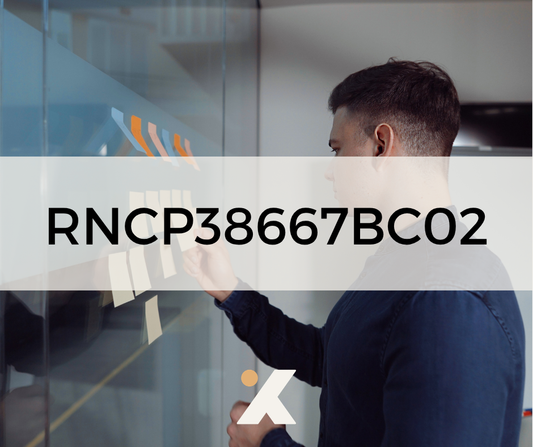 RNCP38667BC02 - Organiser et suivre les projets et dossiers spécifiques de l'équipe de direction